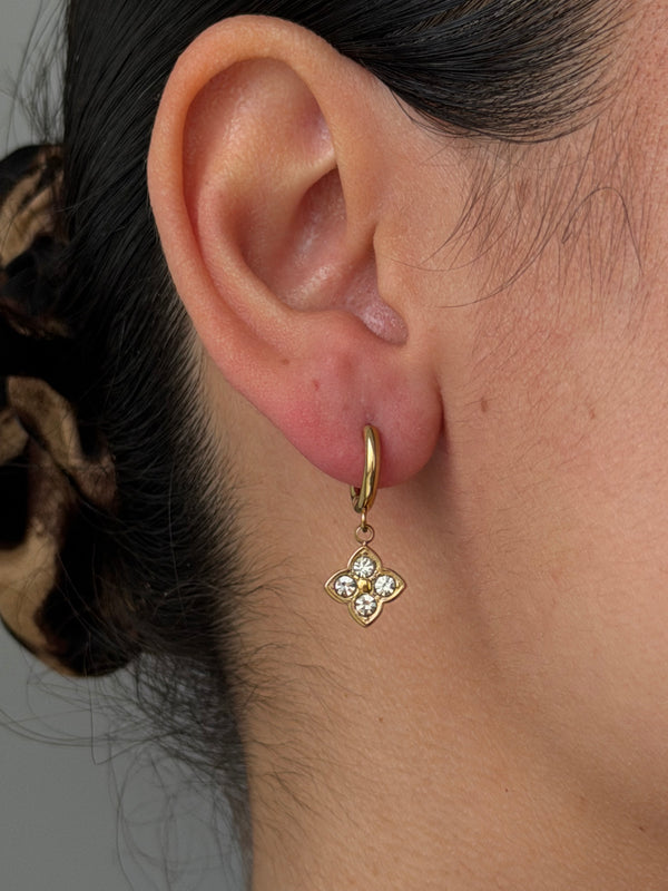 Boucle Venus